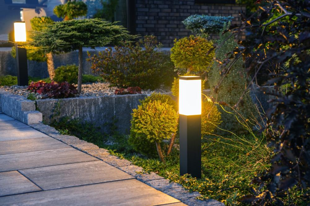 lumiere-jardin